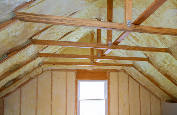 Best Insulation Repair Services  in Edgewater, MD