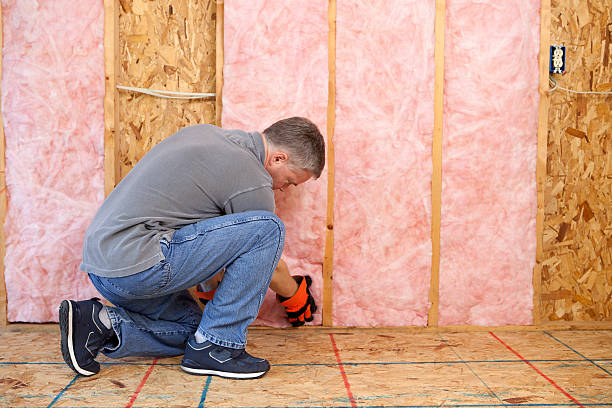Best Crawl Space Insulation  in Edgewater, MD