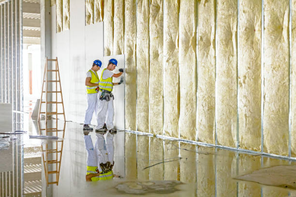 Best Soundproof Insulation Installation  in Edgewater, MD